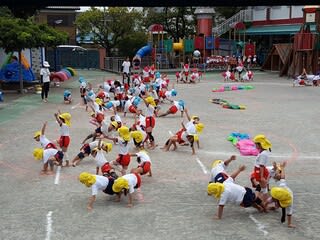 組体操 バルーン 学校法人 浦和榎本学園 浦和こばと幼稚園